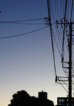 テスト用 見るの禁止