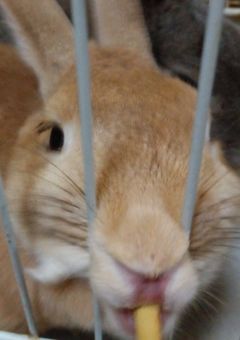 主のー!ゴミイラスト部屋ー!