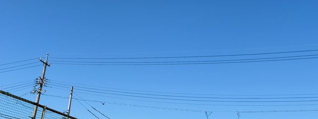 Pomariseさんの壁紙画像