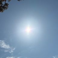 Pomariseさんのアイコン画像