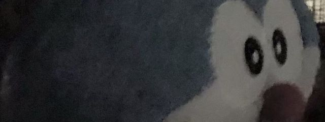 ㅤㅤ꣑୧ㅤㅤさんの壁紙画像