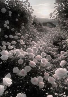 皆と生きたい 。