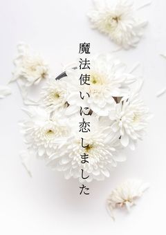 魔法使いに恋しました