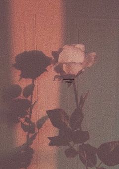 UNORDINARY