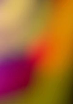 勘のいいガキは2人いるようで（）