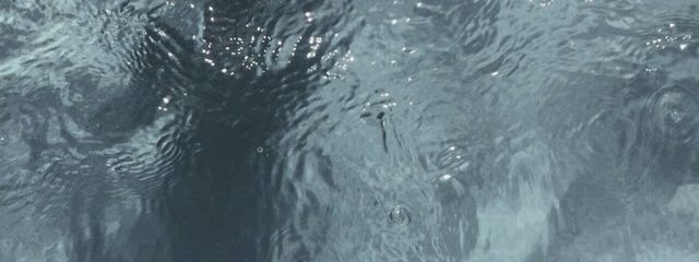 エマさんの壁紙画像