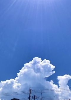 僕らは耐えず青い夏を実況するだろう。