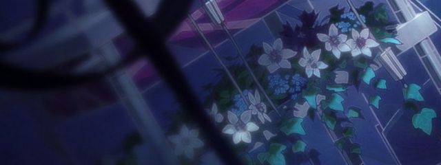 Yukiさんの壁紙画像