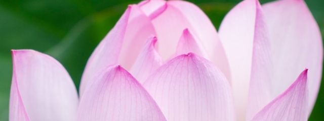 澪奈さんの壁紙画像