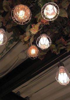 夜の蝶 🌙*ﾟ