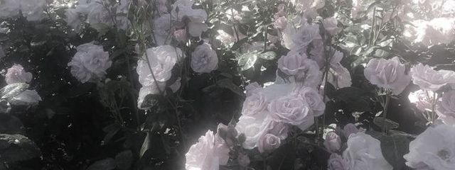 ゆなさんの壁紙画像