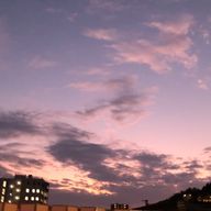 Sayu.さんのアイコン画像