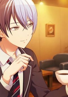 ビビバス、クロスオーバーの旅