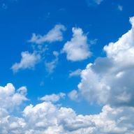 信雨さんのアイコン画像