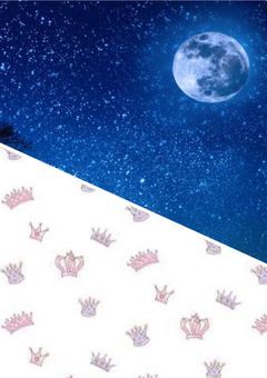 とあるアイドルの妹になったツキウタ