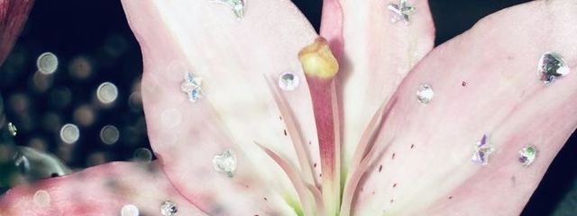 laさんの壁紙画像