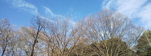 渚さんの壁紙画像