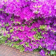 渚さんのアイコン画像