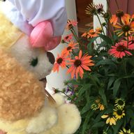 しーさんのアイコン画像