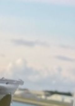 嫌いだけど大好き