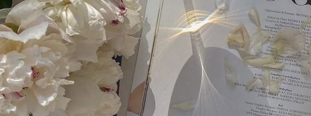 にぃさんの壁紙画像