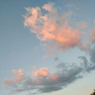 ころもさんのアイコン画像