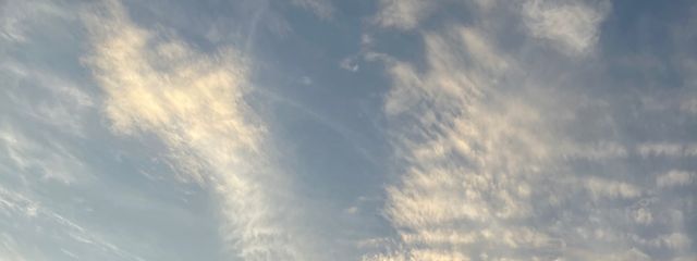 屈服だ！屈服！皆私に跪けば良いんだ！さんの壁紙画像