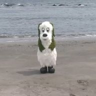 ぴすさんのアイコン画像