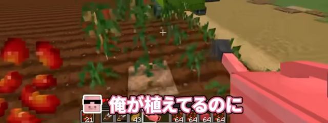 七色の色鉛筆ひーりょさんの壁紙画像