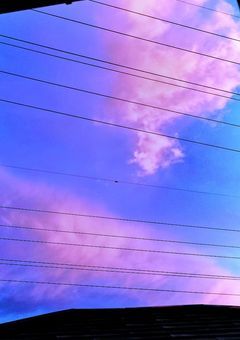 小説の中に引き込まれてしまった