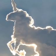 ないふ推しさんのアイコン画像