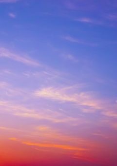キラ達が学校に…？でも最初…なんだか様子が変です…