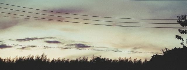 天野さんの壁紙画像