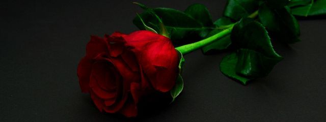 ︎︎           루이  @ログアウトさんの壁紙画像