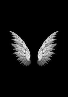  Angel Wings