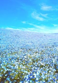 音ノ瀬りる様専用