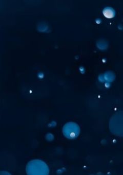 透明なあの子が帰ってきた1年間