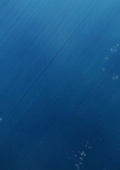 ただいまと言わせて