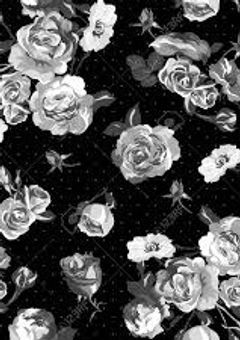 色のない世界で