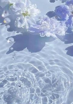 天然さんと天才さん結婚してて子供がいるらしいです