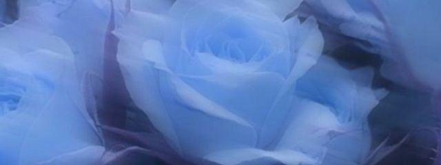 神魔 華夜  さんの壁紙画像