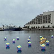 Null@きみたち🫵🫵大好き🥰🥰🫰🫶🫶さんのアイコン画像