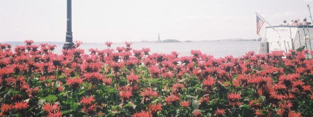 emisさんの壁紙画像