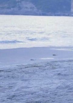 スマホの中の彼氏