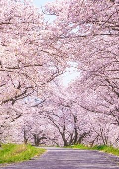 お友達、関係者様募集𓂃🍀𓈒𓏸