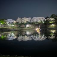 かまさんのアイコン画像