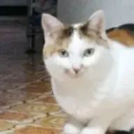 らろさんのアイコン画像