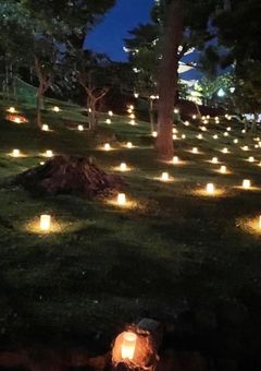 放 課 後 ノ 裏 生 徒 会