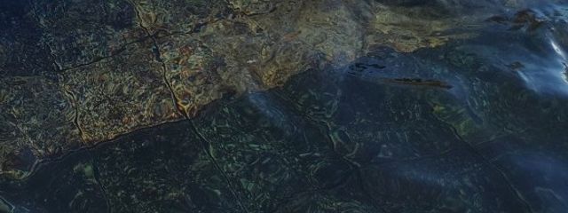 いねさんの壁紙画像