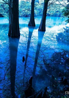 月島の妹は４歳児